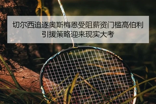 切尔西追逐奥斯梅恩受阻薪资门槛高伯利引援策略迎来现实大考